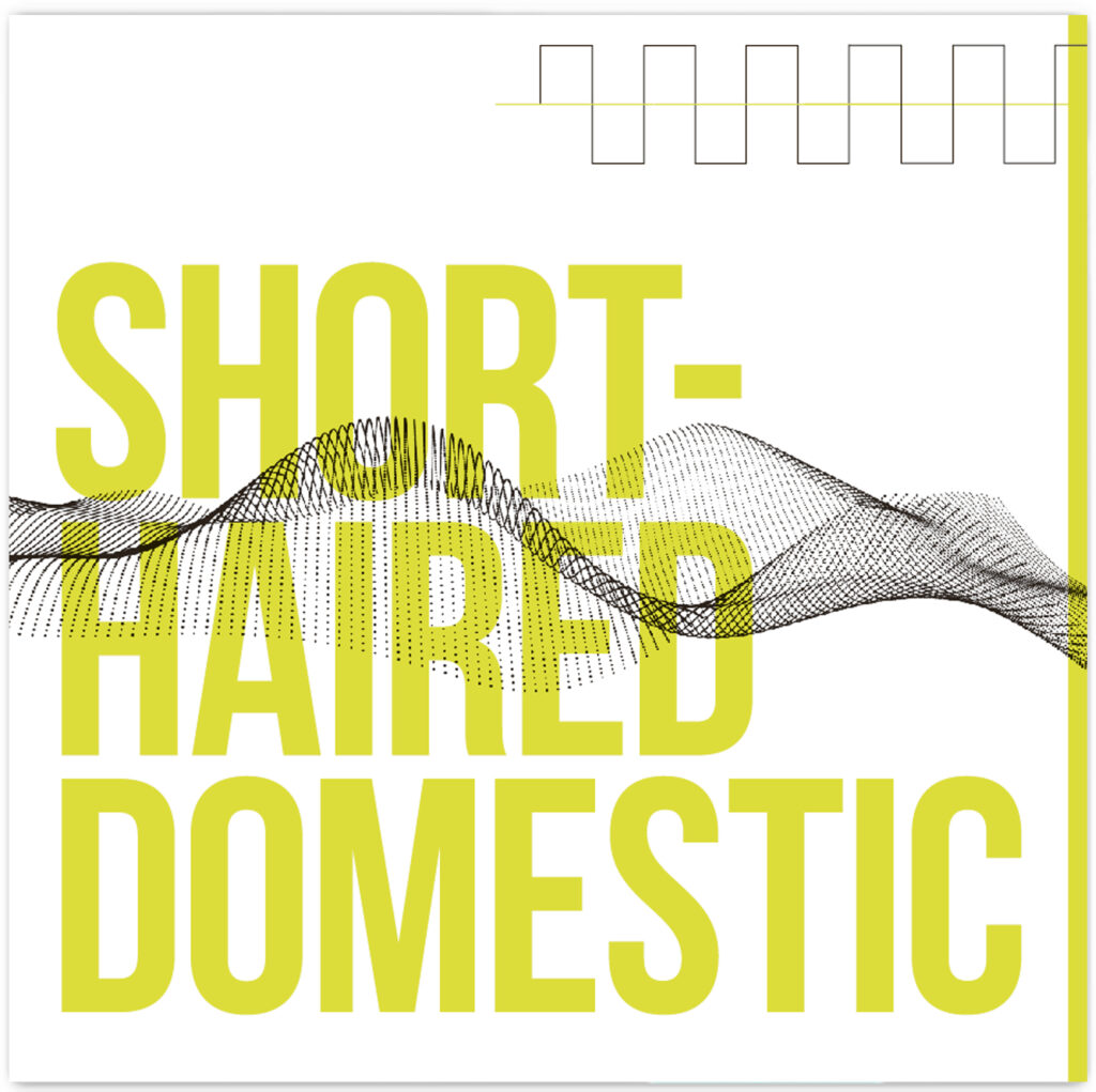 short-haired-domestic-album-cover
