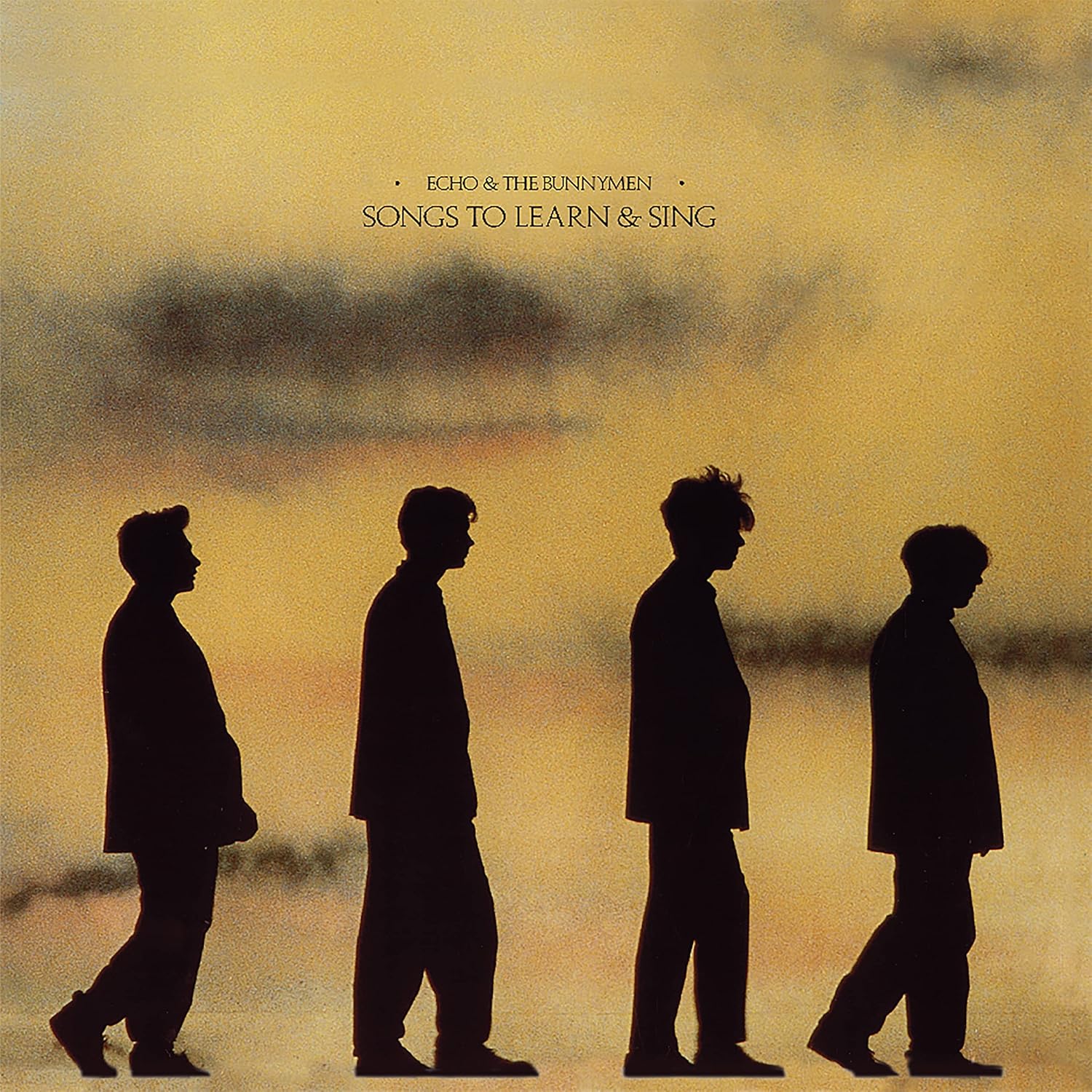Echo and the Bunnymen: Prog, Pop, or Psychedelic? | Spirit of Cecilia