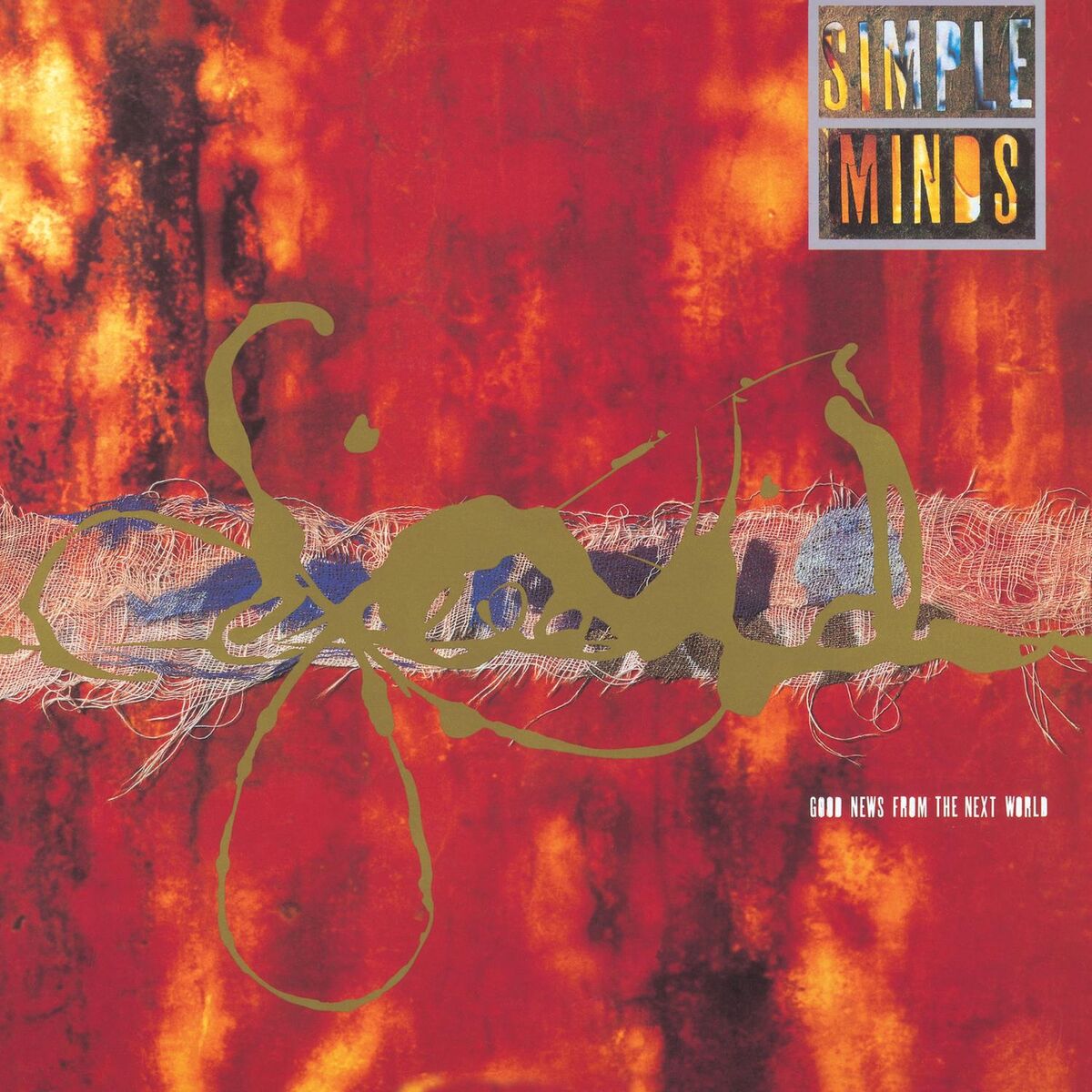 Simple Minds: A Manifestation of Beauty | Spirit of Cecilia